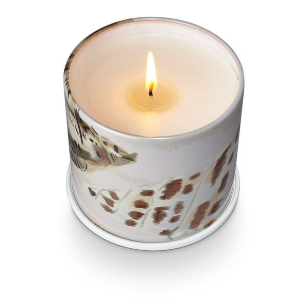 Illume Driftwood Vanity Tin Candle