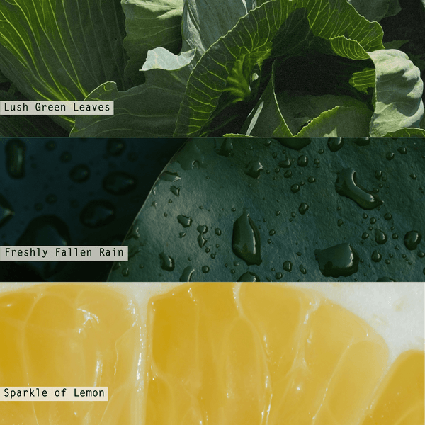 Illume Hidden Lake Diffuser Refill