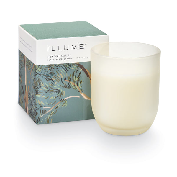 illume Hinoki Sage Baby Boxed Glass Candle