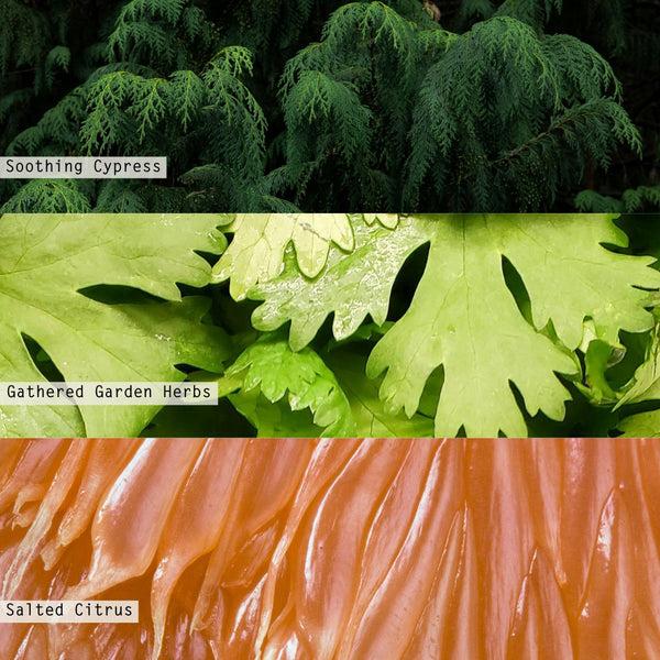 Illume Hinoki Sage Diffuser Refill