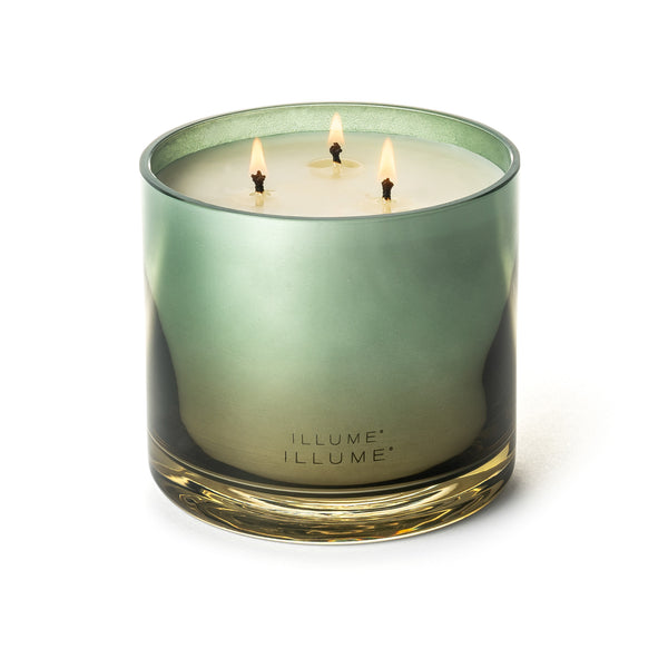 Illume Hinoki Sage Statement Glass Candle
