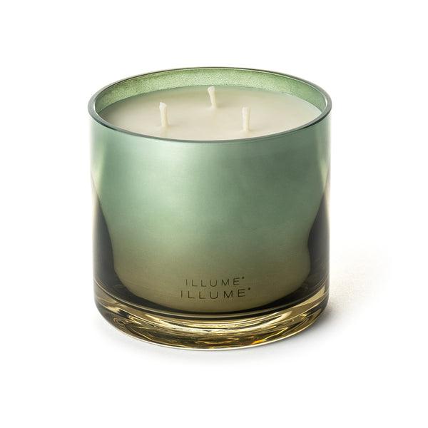 Illume Hinoki Sage Statement Glass Candle