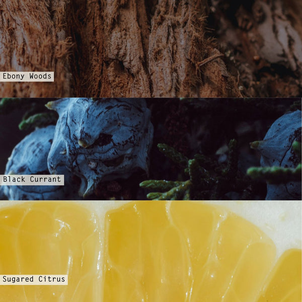 Illume North Sky Small Radiant Glass Candle