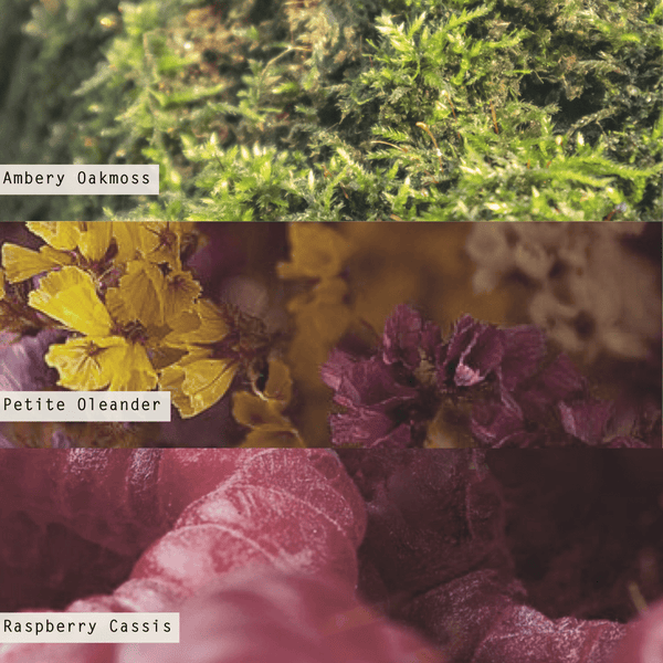 Illume Oleander Oak Hand Lotion