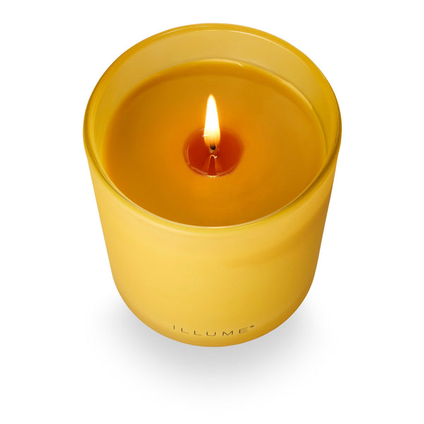 Illume Rhubarb Honey Refillable Boxed Glass Candle