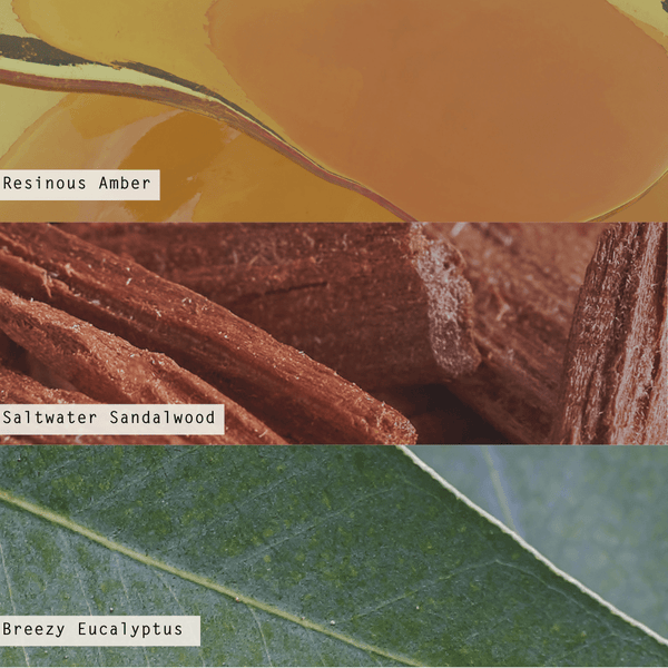 Illume Santal Birch Hand Soap