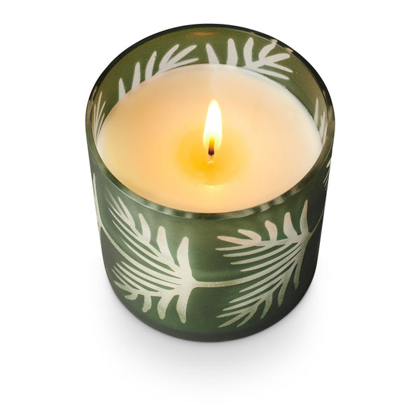 Illume Sequoia Spruce Pine Glass Candle