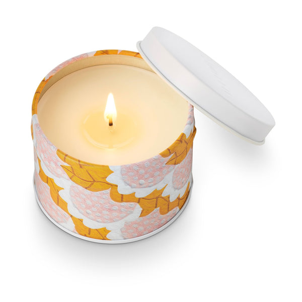 Illume Talking Trees Artist Tin Candle