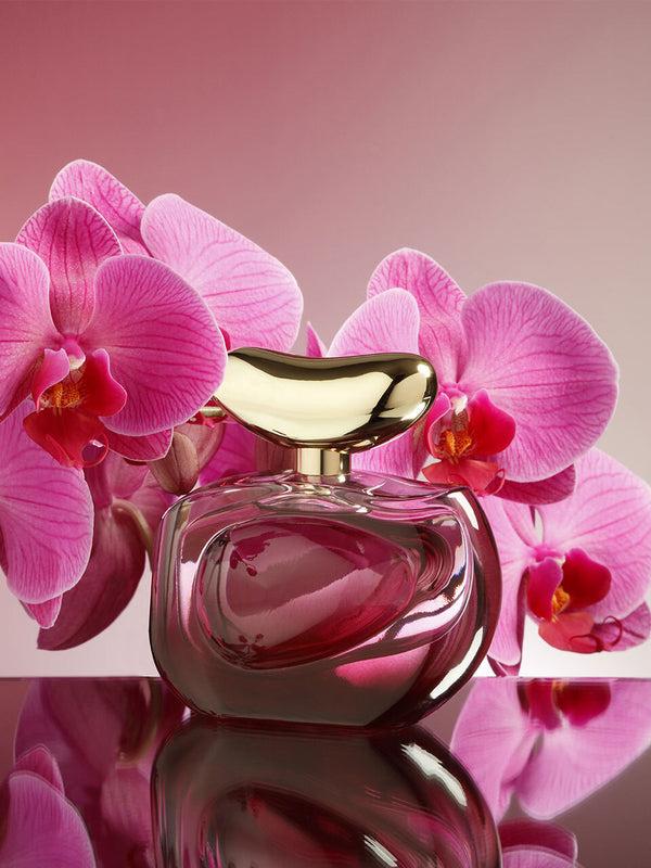 Imagine Vince Camuto Illuminare Intensa 3.4 Oz Eau De Parfum Spray 3.4 Oz