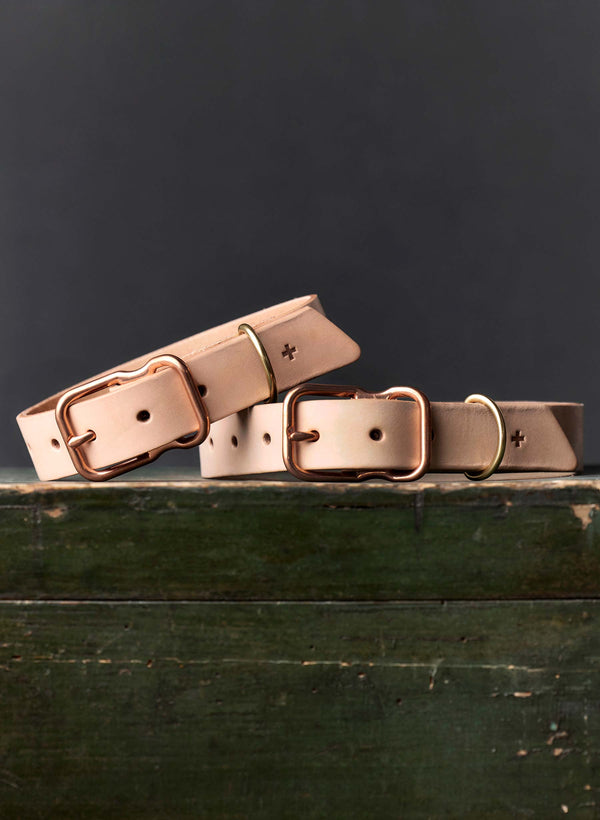 Imogene Willie Emil Erwin X I+w Dog Collar