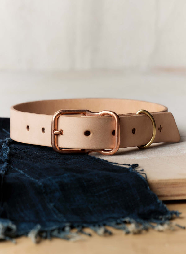 imogene willie emil erwin x i+w dog collar