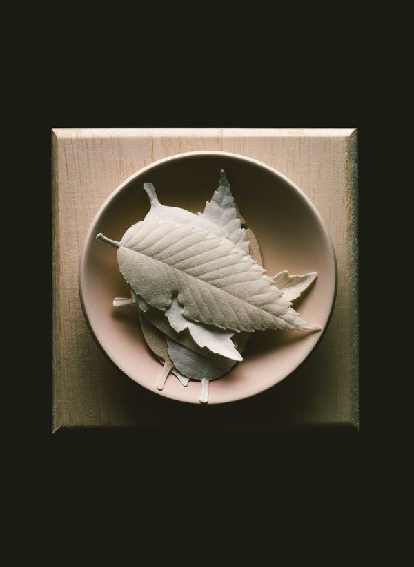 Imogene Willie Ha Ko White Paper Incense Pack