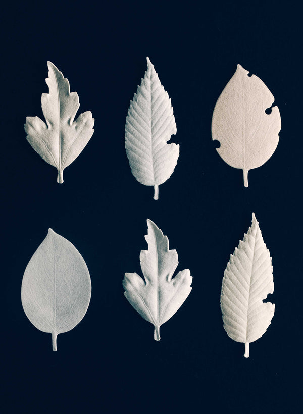 Imogene Willie Ha Ko White Paper Incense Pack