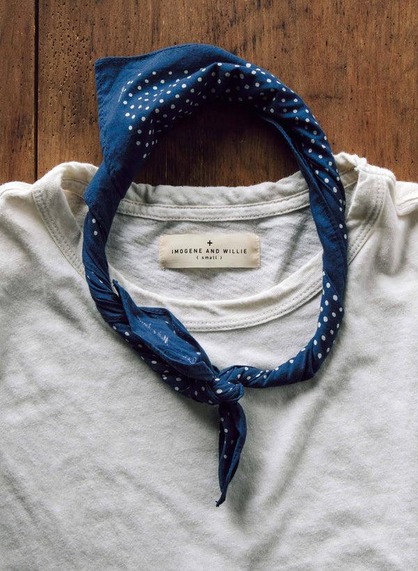 Imogene Willie I+w Vintage Blue Bandana