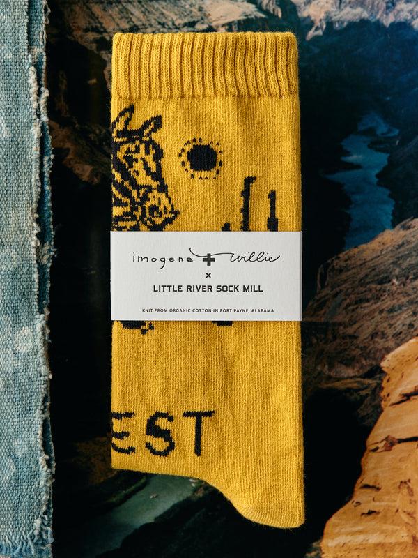Imogene Willie Out West Sock In Yellow