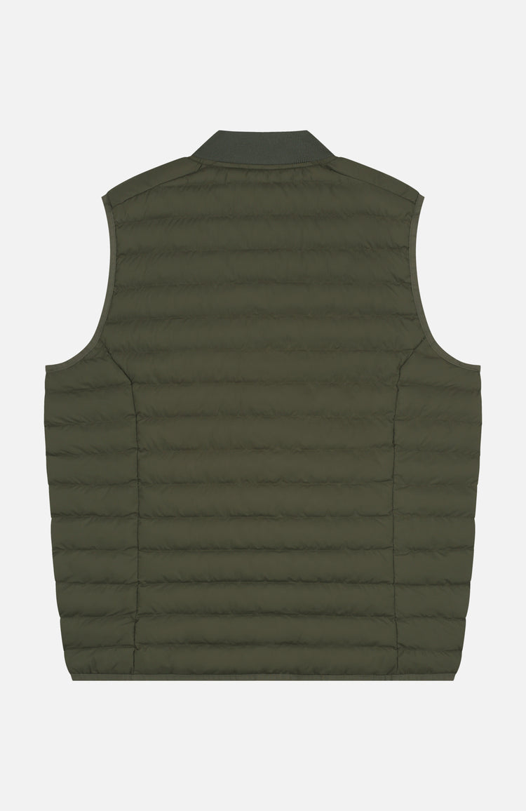 In Gold We Trust The Glory Forest Night