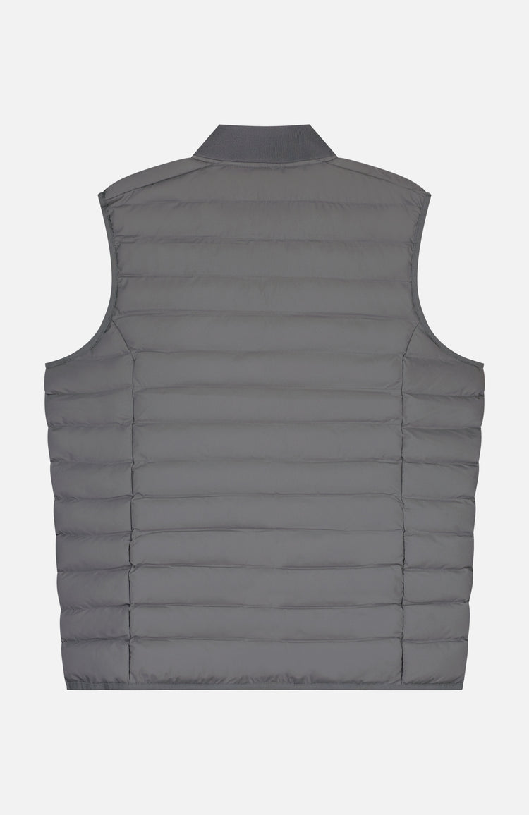 In Gold We Trust The Glory Quiet Shade