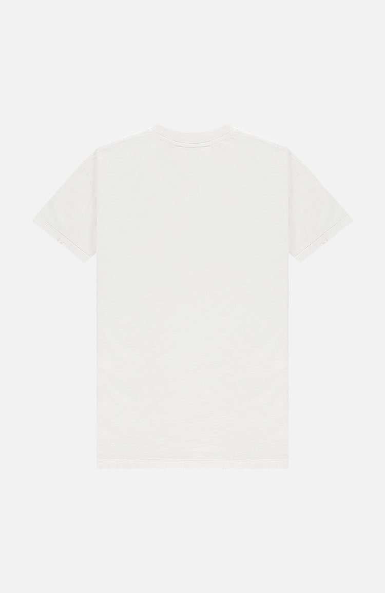 In Gold We Trust The Perfecto