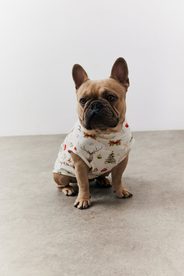 In The Style In The Style Cream Christmas Matching Dog Coat Cream