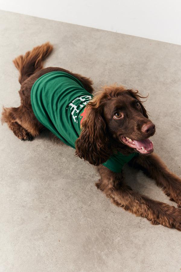 In The Style In The Style Dog Elf Print Pyjama Multi