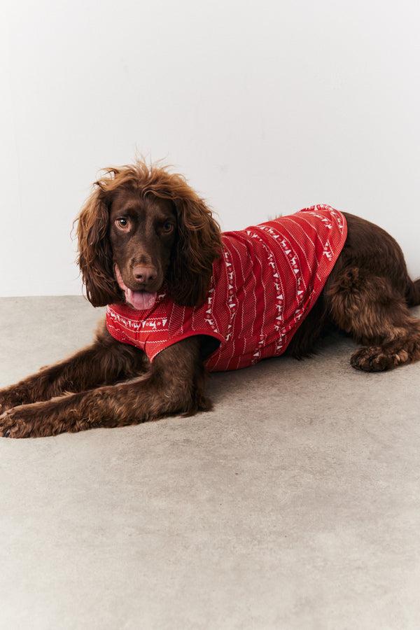 In The Style In The Style Dog Fairisle Print Pyjama Multi