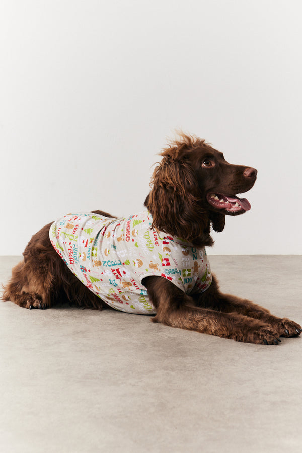 In The Style In The Style Dog Noel Print Pyjama Multi
