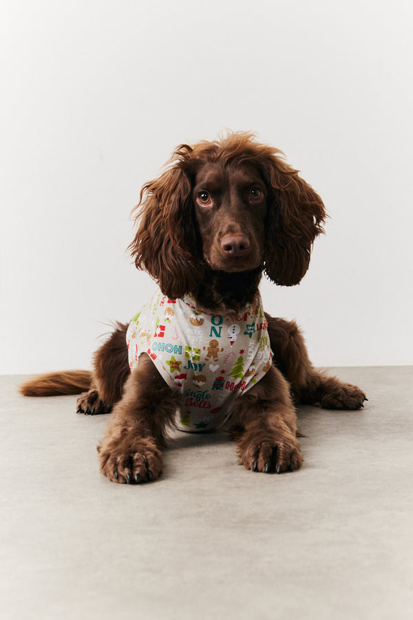 In The Style In The Style Dog Noel Print Pyjama Multi