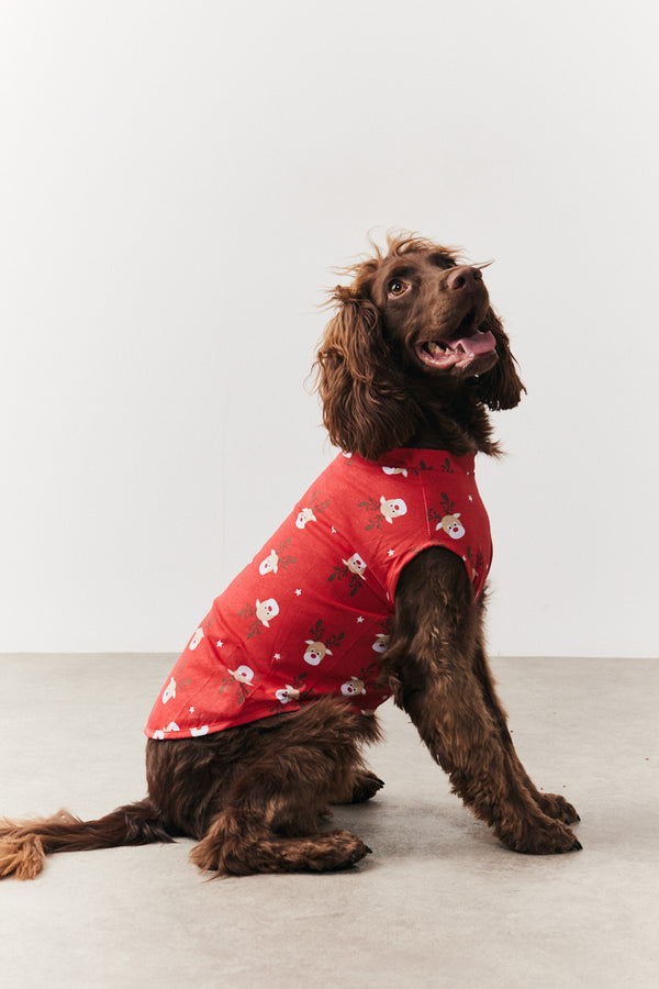 In The Style In The Style Dog Reindeer Print Pyjama Multi