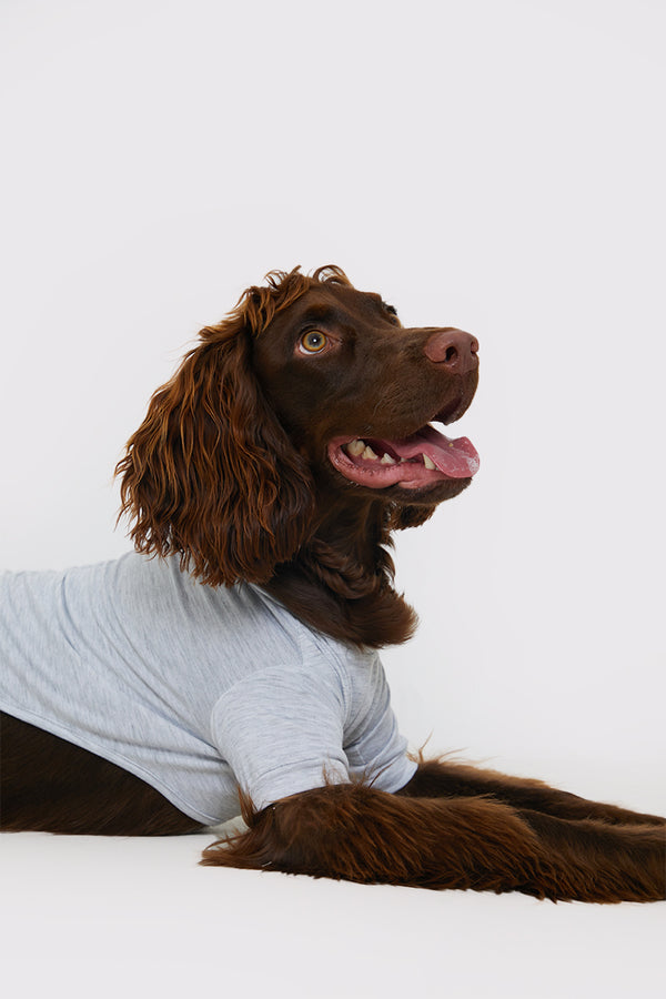 In The Style In The Style Plain Jersey Dog PJ Grey