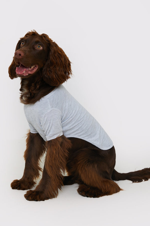 in the style In The Style Plain Jersey Dog PJ Grey