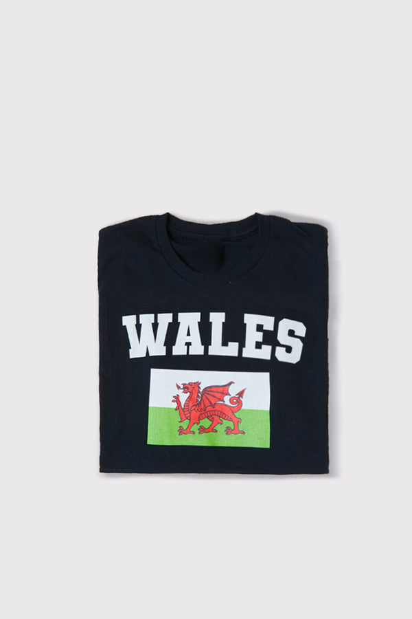 In The Style In The Style Kids Welsh Flag T-Shirt White