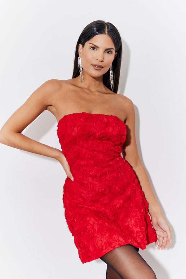 in the style In the Style Red 3D Floral Bandeau Mini Dress Red
