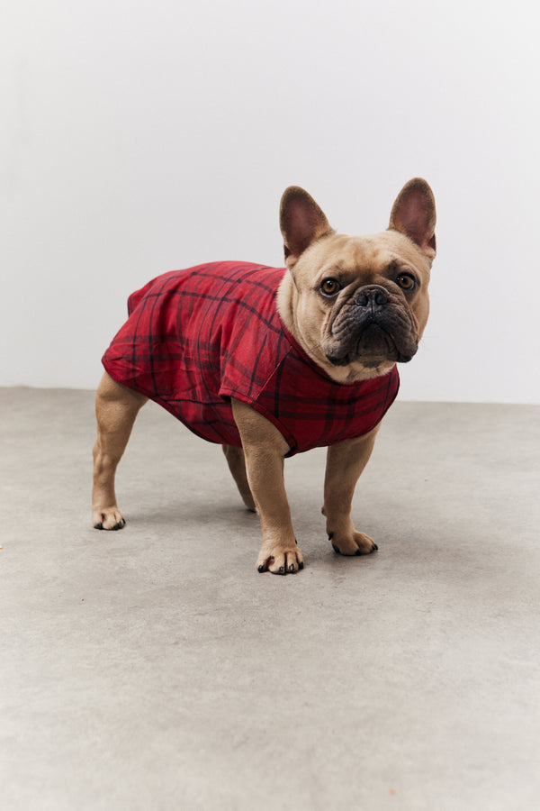 In The Style In The Style Red Checked Matching Dog Coat Red