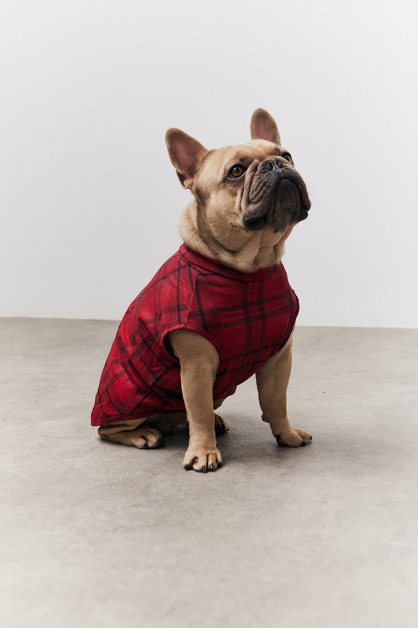 in the style In the Style Red Checked Matching Dog Coat Red