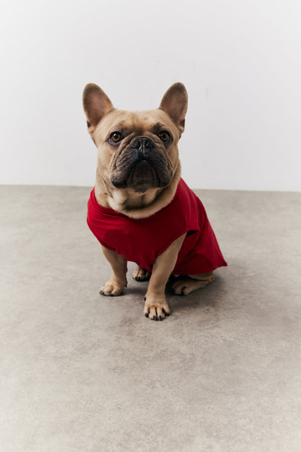 In The Style In The Style Red We Believe Matching Dog Coat Red