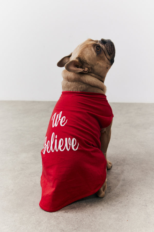 in the style In the Style Red We Believe Matching Dog Coat Red