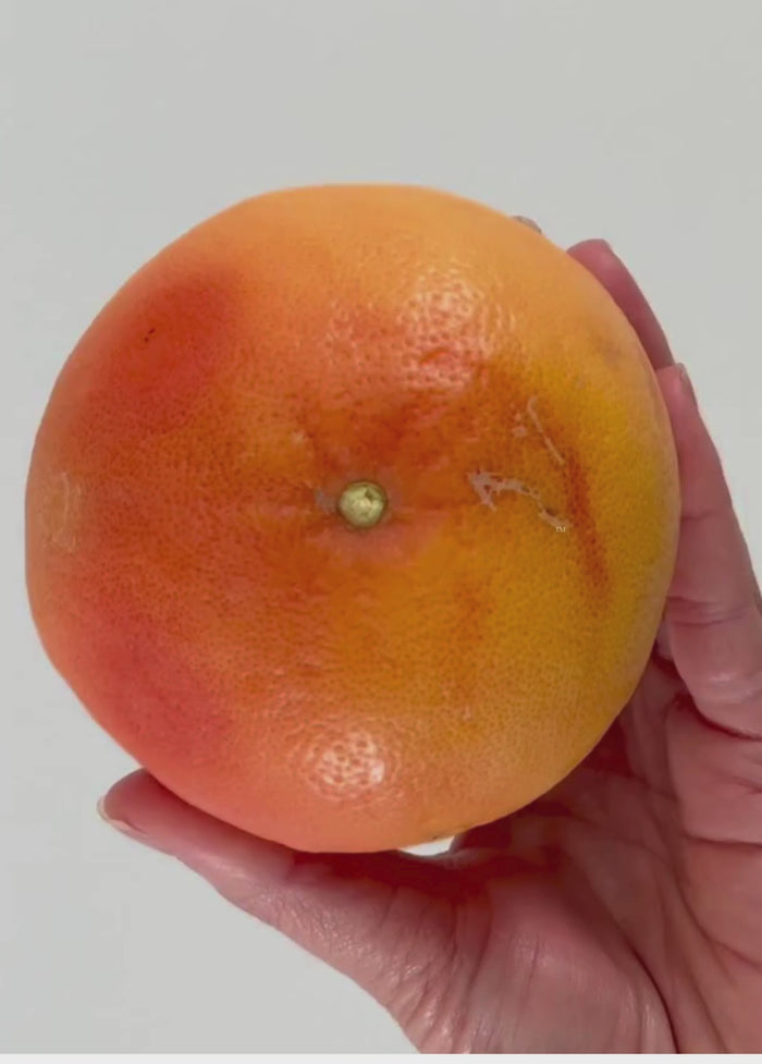 Ingrid & Isabel Breastfeeding Gel Packs (2) By Cool Mom™