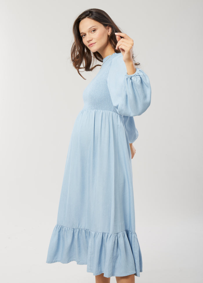 Ingrid & Isabel Meadow Chambray Maternity Dress