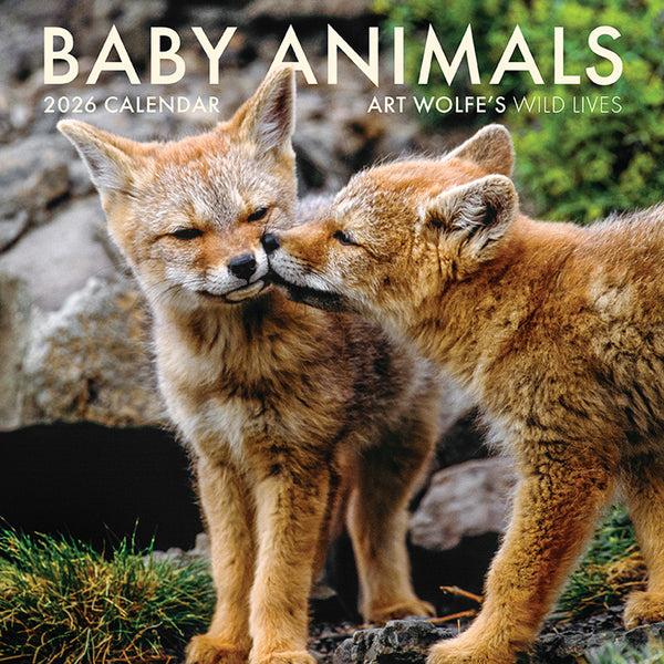 insight editions 2026 Baby Animals Wall Calendar – Insight Editions