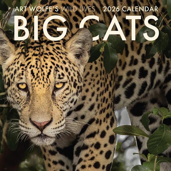 insight editions 2026 Big Cats Wall Calendar – Insight Editions