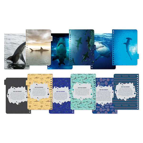 Insight Editions 2026 Shark Week 13-Month Weekly Planner – Insight Editions