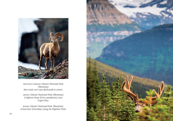 Insight Editions America's National Parks – Insight Editions