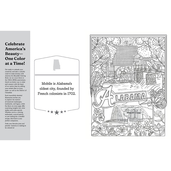 Insight Editions America The Beautiful Coloring Book – Insight Editions