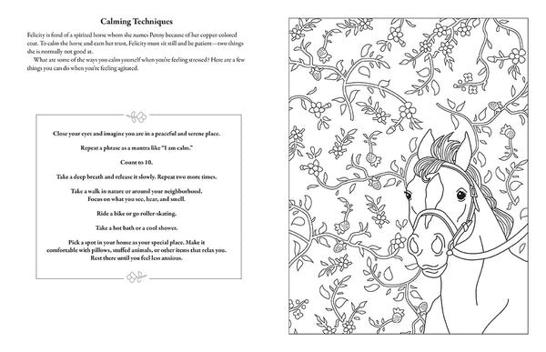 Insight Editions American Girl Coloring Journal – Insight Editions