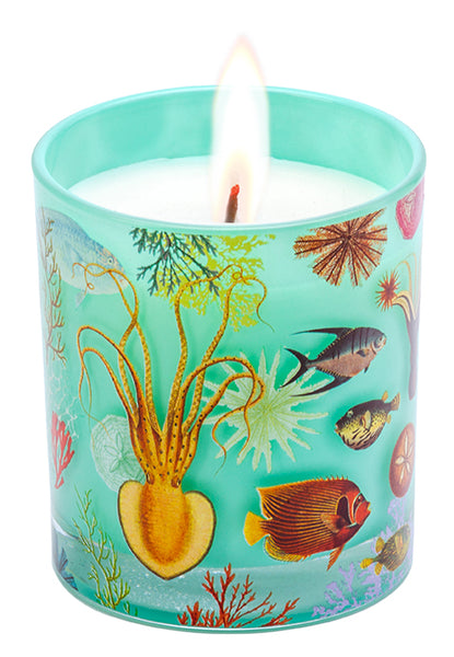 insight editions Art of Nature: Under the Sea Scented Glass Candle – Insight Editions