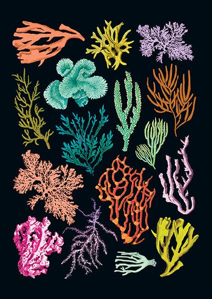 Insight Editions Art Of Nature: Under The Sea Sewn Notebook Collection (Set Of 3) – Insight Editions