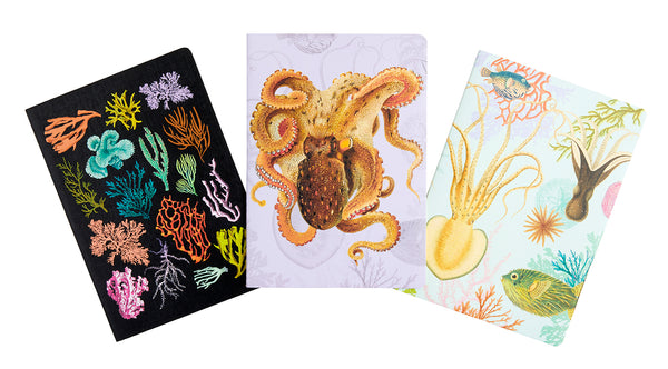 insight editions Art of Nature: Under the Sea Sewn Notebook Collection (Set of 3) – Insight Editions