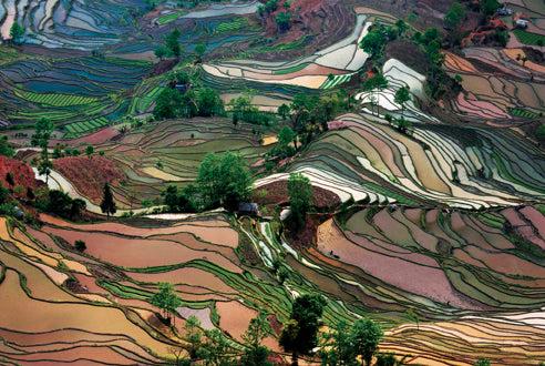 Insight Editions Art Wolfe: Extraordinary Earth Blank Boxed Notecards – Insight Editions