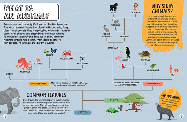 Insight Editions Big Questions For Little People: Animals – Insight Editions