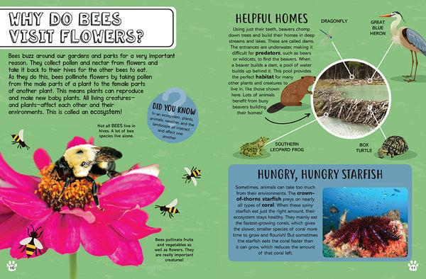 Insight Editions Big Questions For Little People: Animals – Insight Editions